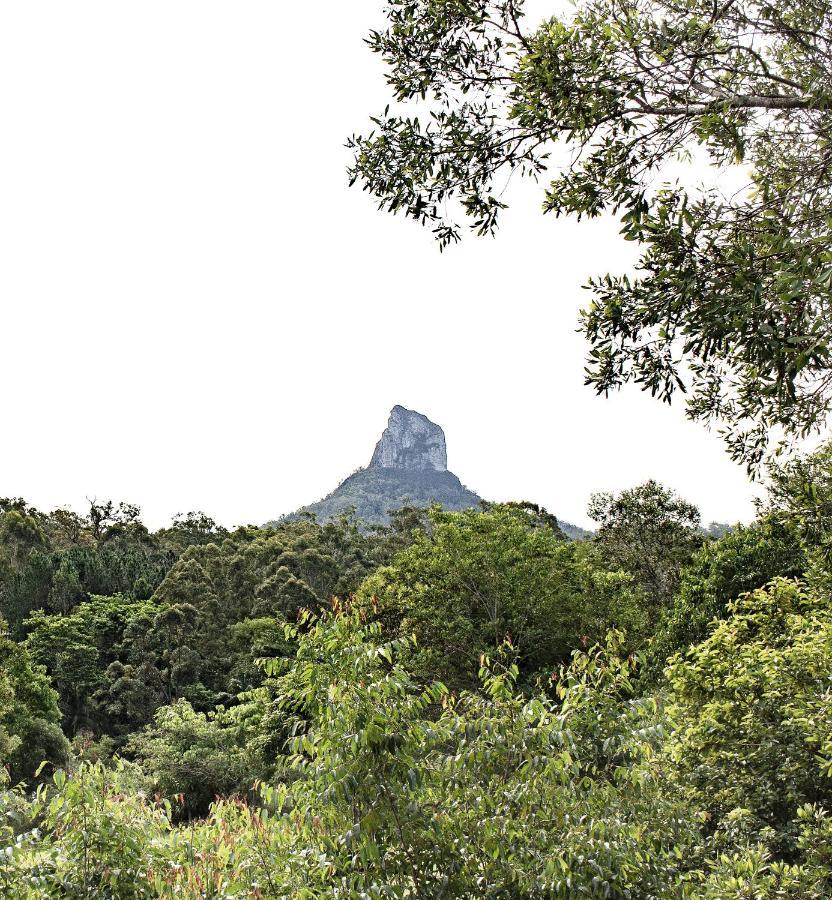 Glass On Glasshouse Glass House Mountains Bagian luar foto